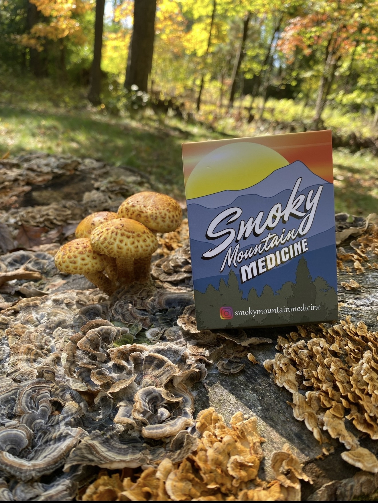 SMM Fall Box on Mushroom Log